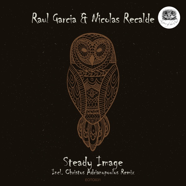 Steady Image - Single