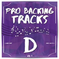 Pro Backing Tracks D, Vol.7 - Pop Music Workshop