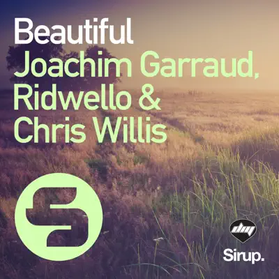 Beautiful - Single - Chris Willis