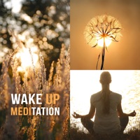 Wake Up Meditation - 50 Healing Music to Awaken Your Spirit, Vital Energy from Nature, Relaxation Zone, Sun Vibration - Meditation Yoga Empire