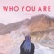 Who You Are (Instrumental version) artwork