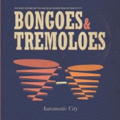 Bongoes and Tremoloes (Instrumental) artwork