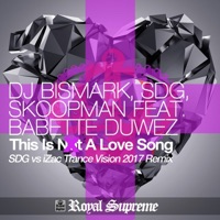 This Is Not a Love Song (feat. Babette DuweZ) [SDG vs. iZac Trance Vision 2017 Remix] - Single - Bismark, SDG & Skoopman