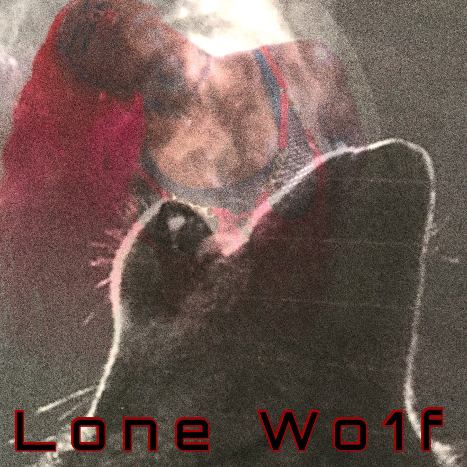 Lone Wo1f