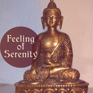 Feeling of Serenity: Soothing Music for Mind & Body, Relaxing Sounds, Spa & Yoga, Meditation Moods, Soft Sleep Sounds