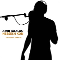 Hessesh Kon - Single - Amir Tataloo & Amir D-va