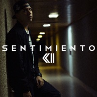 Sentimientos - Omar K11