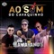 Ao Som do Cavaquinho - Os Hawaianos lyrics