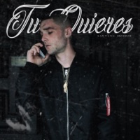 Tu Quieres - Single - $antana1000000
