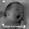 Little Dreamers: Sleep Time Music with Sweet Soft Natural Sounds - Andrew Apnea & Children Music Academy