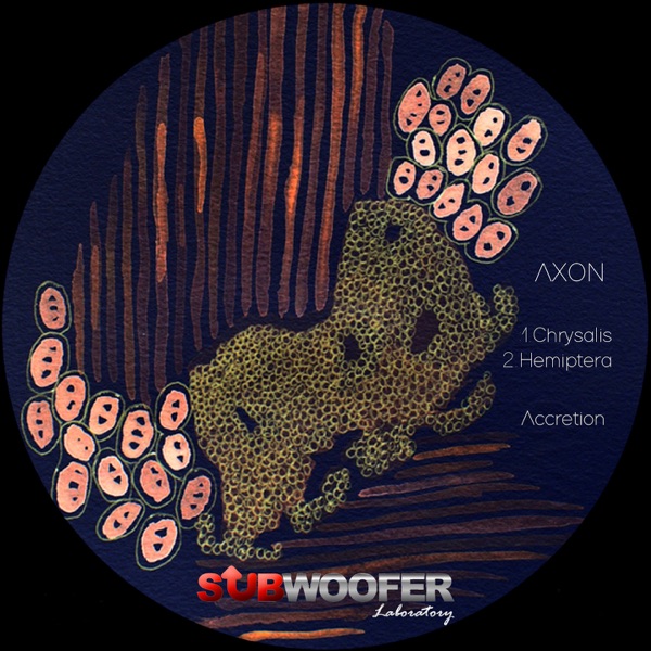 Accretion - Single