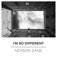 I'm So Different - Single - Nosson Zand