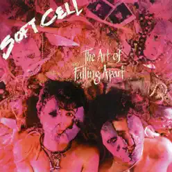 The Art of Falling Apart - Soft Cell