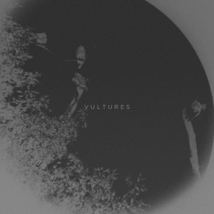 Vultures - Single