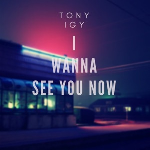 Tony Igy I Wanna See You Now