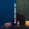 Abduction - Stephen Wish, Eddy Kruger & Meow lyrics