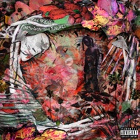 Flamingos and Finches - Billyracxx