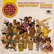 Afro Latin Vintage Orchestra - Definitely Rootd
