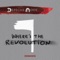 Where's the Revolution (Patrice Bäumel Remix) artwork