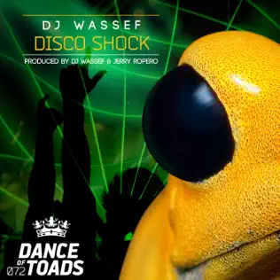 descargar álbum DJ Wassef - Disco Shock
