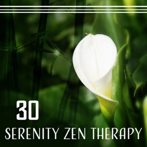 30 Serenity Zen Therapy: Melodies to Create Peaceful State of Mind, Calming Meditation Music for Anxiety & Insomnia