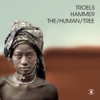 Troels Hammer - Botswana Girl (feat. Åsne Valland Nordii)