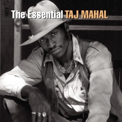 The Essential Taj Mahal