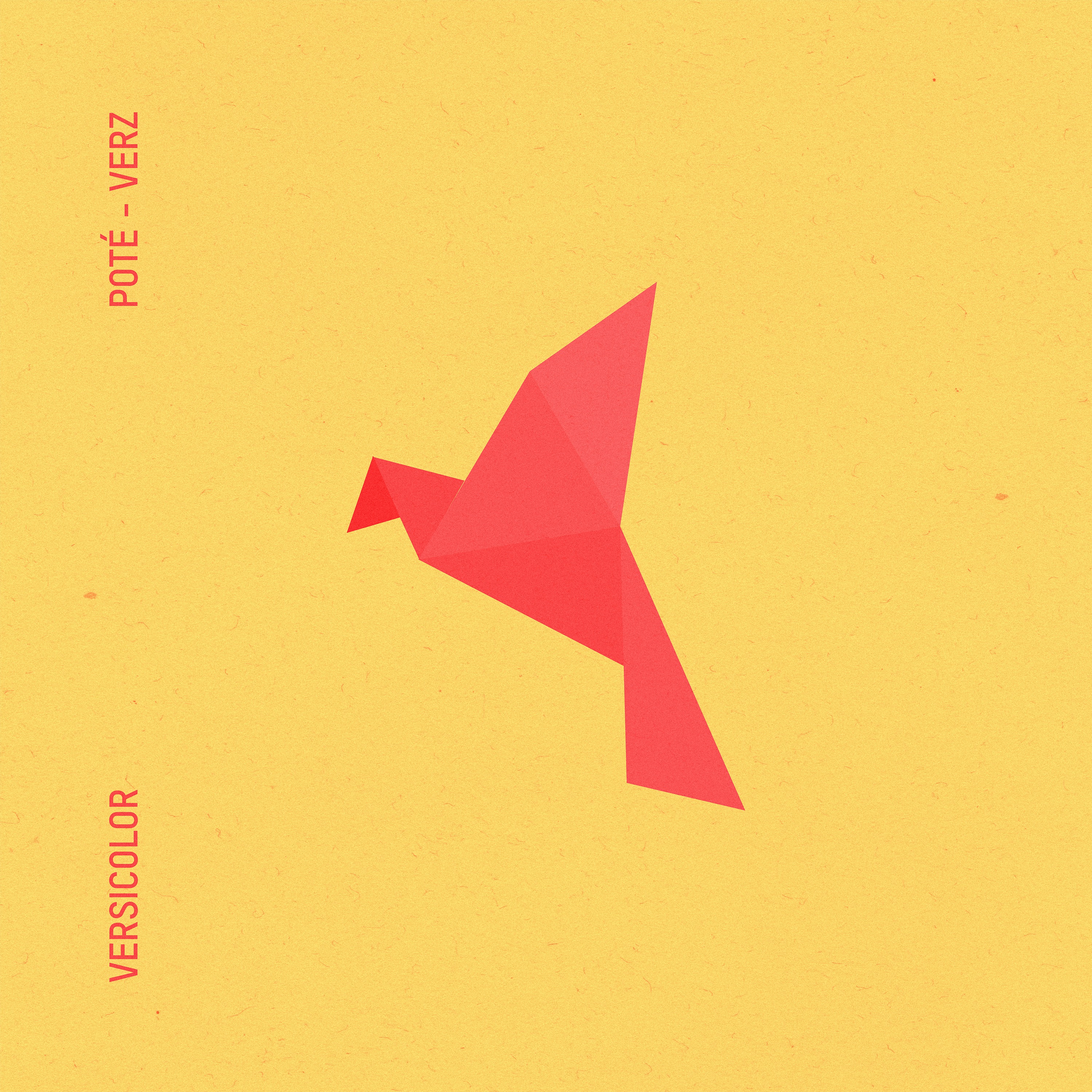 Verz - Single