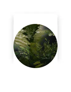 Escucha a Raff Track, mira videos musicales, lee su biografía, consulta las fechas de las gira y más.