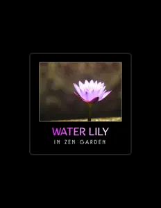 Listen to Lu Xuna Qian, watch music videos, read bio, see tour dates & more!