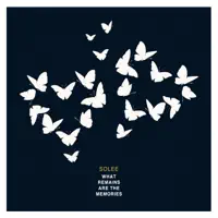 Ten (Petar Dundov Remix) — Solee