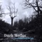 Dark Holler: VI. Dark Holler - Alex Sopp, Hideaki Aomori, C.J. Camerieri, Jamie Keesecker, Rob Moose, Sarah Griffin, Nadia Sirota, Clarice Jensen, Shawn Conley, Cameron Britt, Shawn Galvin, Timothy Hambourger, Jacquelyn Bartlett & Verena Mösenbichler-Bryant lyrics