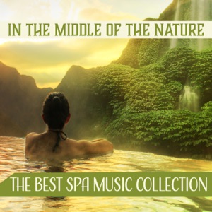 In the Middle of the Nature: The Best Spa Music Collection, Deeply Relaxing Sounds of Nature for Massage and Beauty Treatments