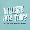 D.O.V.E. Drums Organ Vibes Ensemble - You Don't Know What Love Is
