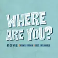 DON'T YOU