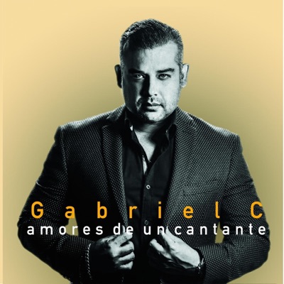 Amores de un Cantante