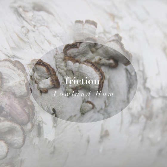 Cover artwork for Friction
