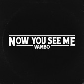 Now You See Me artwork