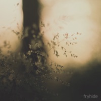 Stories from Sa Talaia, Chapter III - HOSH