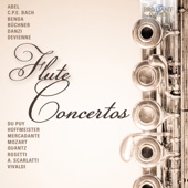 Janos Szebenyi - Flute Concerto in D Major, GroF 440: I. Allegro brillante
