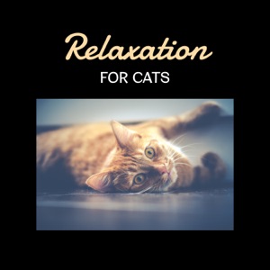 Relaxation for Cats – Soothing Music for Pets, Deep Trance. Relax Your Animal, Instant Happiness, Dog & Cat Love, Therapy for Calm Nerves