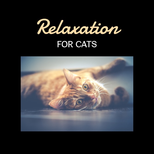 Relaxation for Cats – Soothing Music for Pets, Deep Trance. Relax Your Animal, Instant Happiness, Dog & Cat Love, Therapy for Calm Nerves