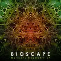 Synergistic Movement — Bioscape