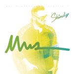 Stress Ohne Grund (Feat. Bushido)
