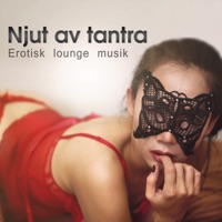 Njut av tantra – Erotisk lounge musik, sensuell massage, sex avkoppling, tantrisk yoga, sexuell och andlig uppvaknande - Masters of Music Tantriska