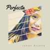 Perfecta - Single