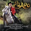 El Chapo De Sinaloa - Le Hace Falta un Beso