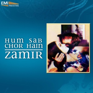 Hum Sab Chor Hain / Zamir