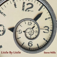 Little by Little - Steve Mills