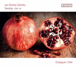 ZELENKA/SONATAS ZWV 181 cover art